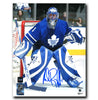 Andrew Raycroft Toronto Maple Leafs Autographed Crease 8x10 Photo CoJo Sport Collectables Inc.