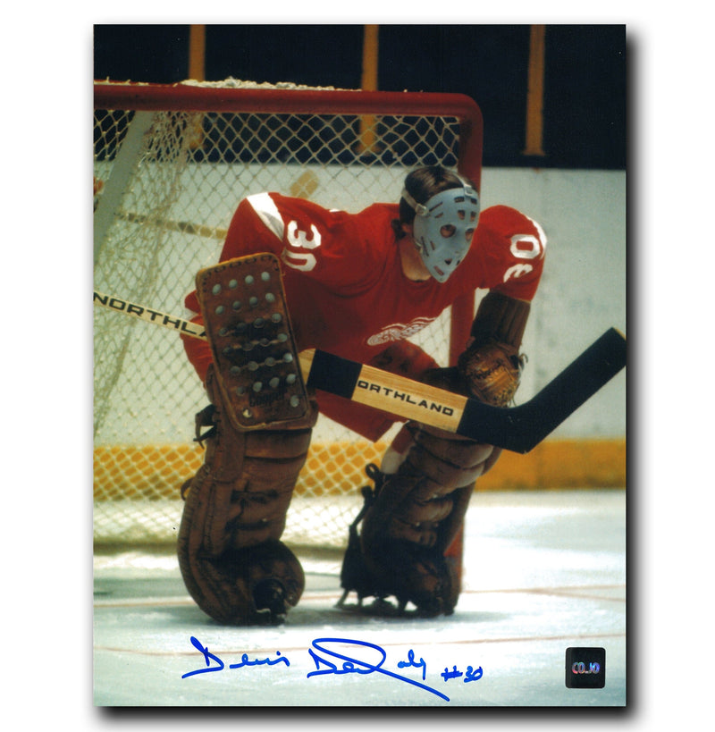 Denis DeJordy Detroit Red Wings Autographed 8x10 Photo CoJo Sport Collectables Inc.