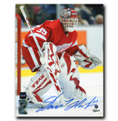 Dominik Hasek Detroit Red Wings Autographed Crease 8x10 Photo CoJo Sport Collectables Inc.