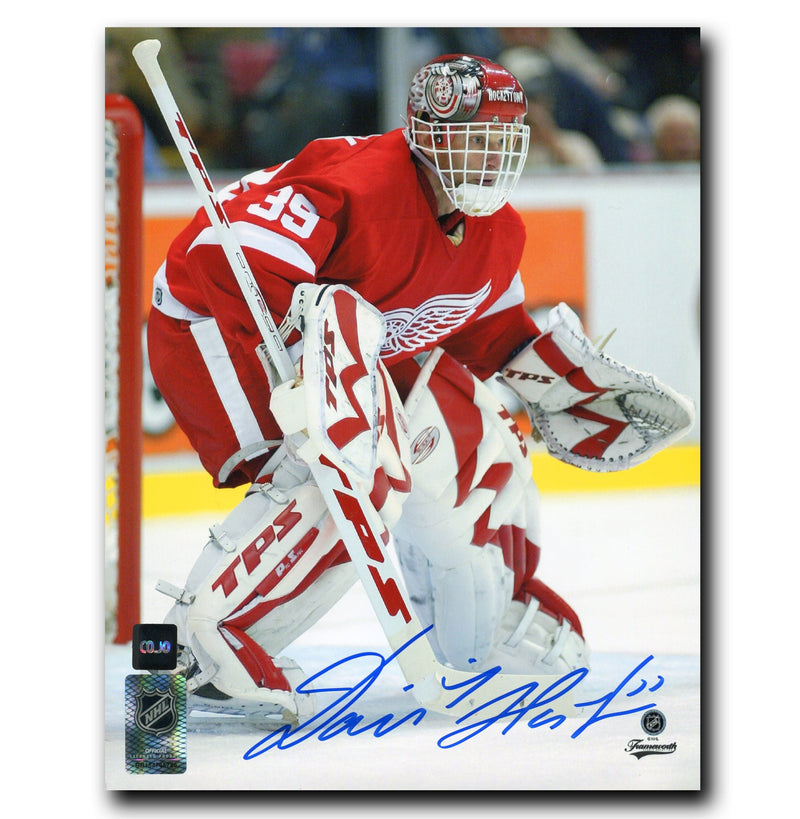 Dominik Hasek Detroit Red Wings Autographed Crease 8x10 Photo CoJo Sport Collectables Inc.