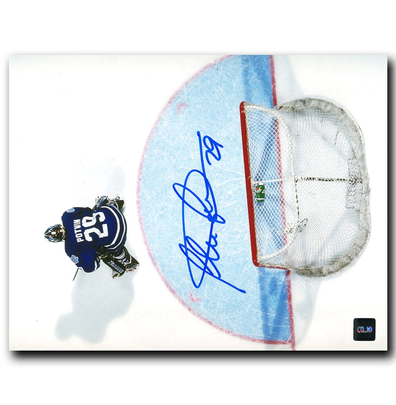 Felix Potvin Toronto Maple Leafs Autographed Overhead 8x10 Photo CoJo Sport Collectables