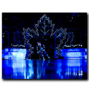 (Pre-Order) Darren Raddysh Toronto Maple Leafs Autographed Home Opener 8x10 Photo