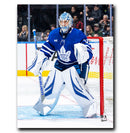 (Pre-Order) Joseph Woll Toronto Maple Leafs Autographed Crease 8x10 Photo CoJo Sport Collectables Inc.