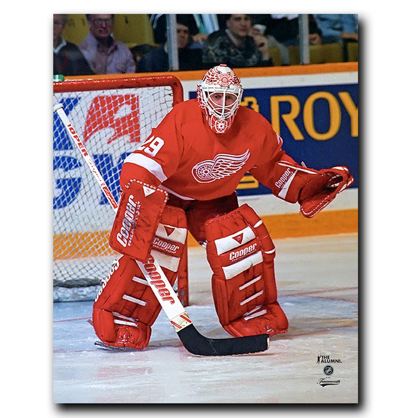 (Pre-Order) Mike Vernon Detroit Red Wings Autographed 8x10 Photo CoJo Sport Collectables Inc.