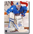 Ron Tugnutt Quebec Nordiques Autographed Crease 8x10 Photo CoJo Sport Collectables Inc.