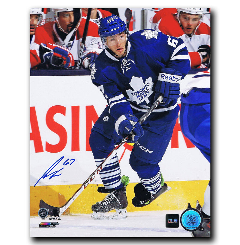 Brandon Kozun Toronto Maple Leafs Autographed 8x10 Photo CoJo Sport Collectables