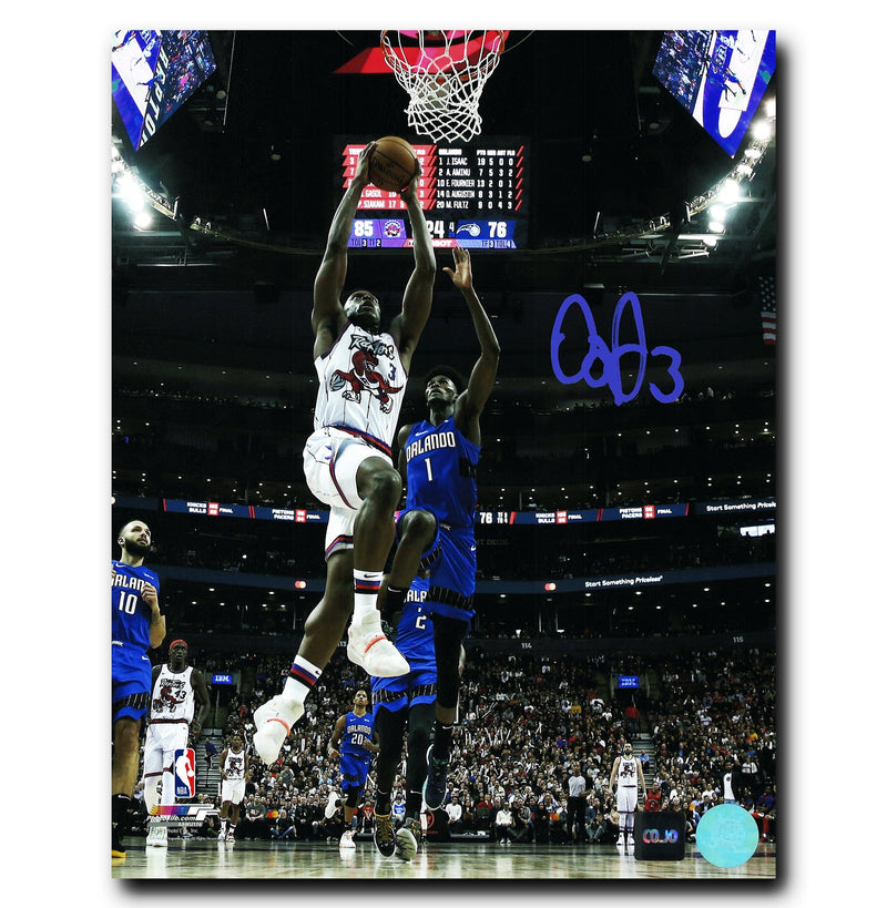 OG Anunoby Toronto Raptors Autographed Dino Dunk 8x10 Photo CoJo Sport Collectables Inc.