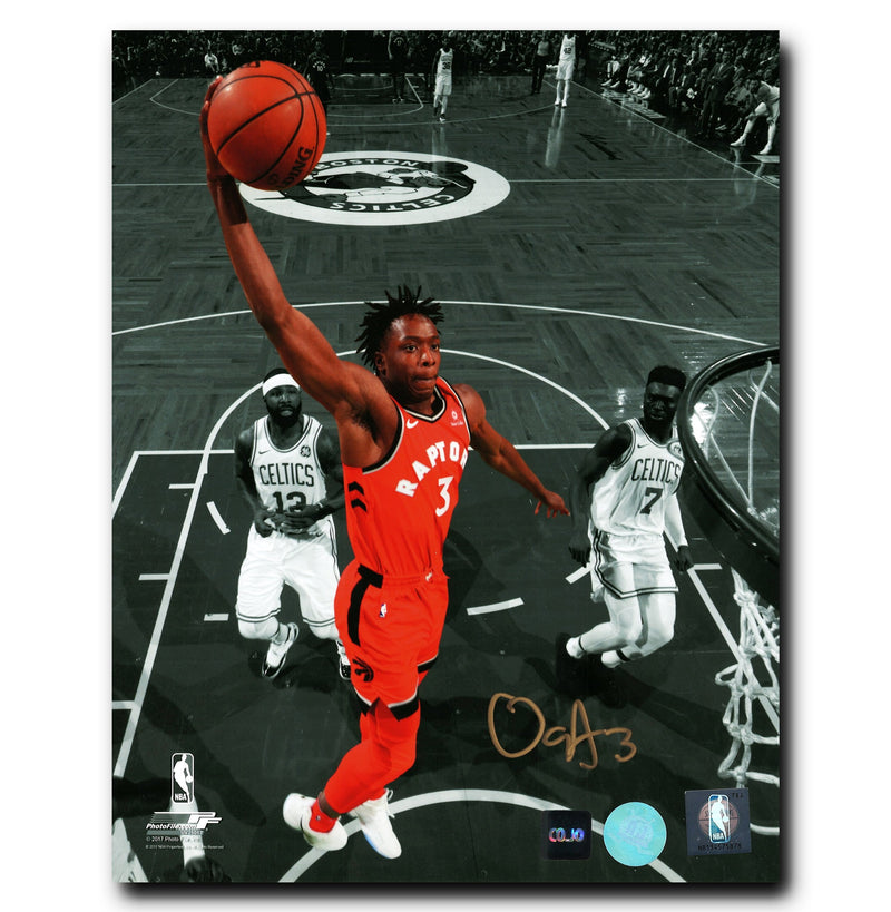 OG Anunoby Toronto Raptors Autographed Spotlight 8x10 Photo CoJo Sport Collectables Inc.